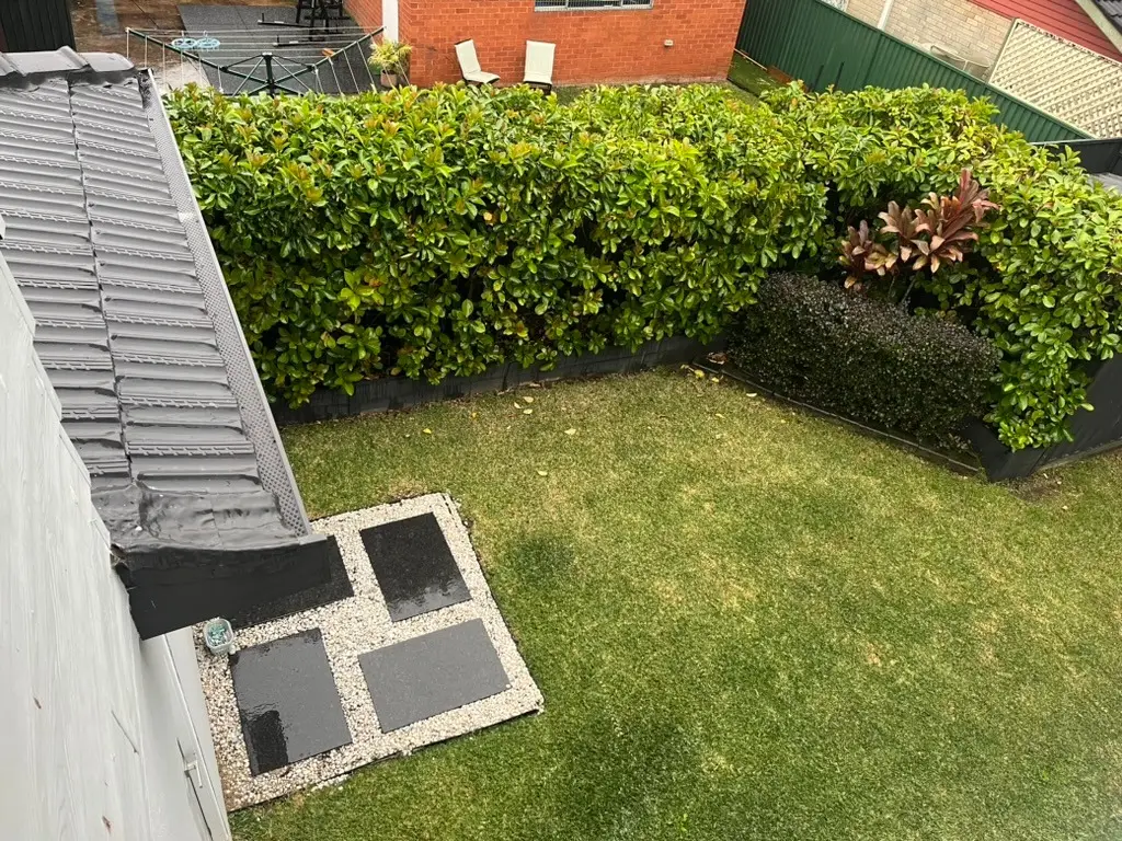 Completed garden — a manicured lawn, layered planting, bluestone pavers and a white pergola
