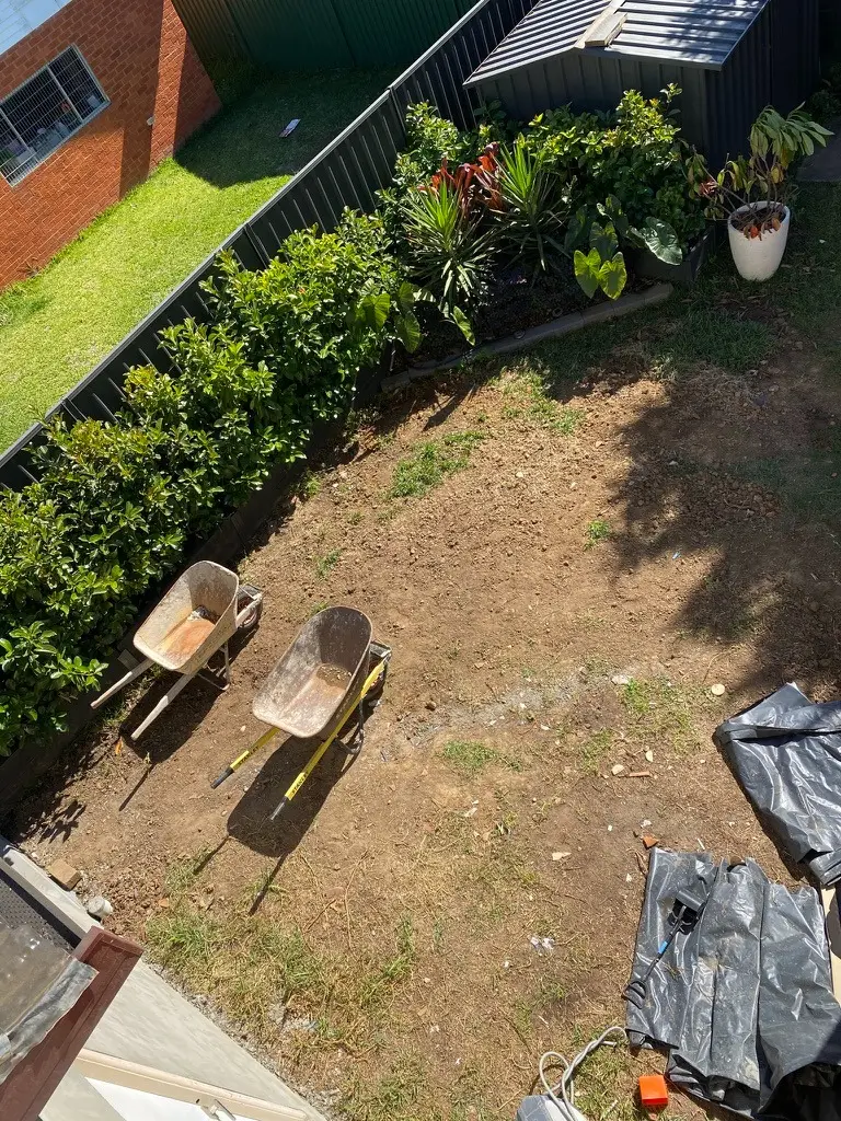 Garden in progress — pergola framing, fresh fencing and new lawn taking shape